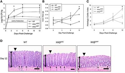 Mice Deficient in Epithelial or Myeloid Cell Iκκβ Have Distinct Colonic Microbiomes and Increased Resistance to Citrobacter rodentium Infection